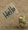pLANerr